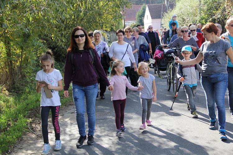 Z Brzegu Dolnego do Łososiowic