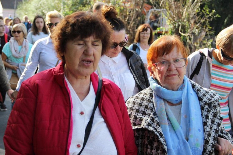 Z Brzegu Dolnego do Łososiowic