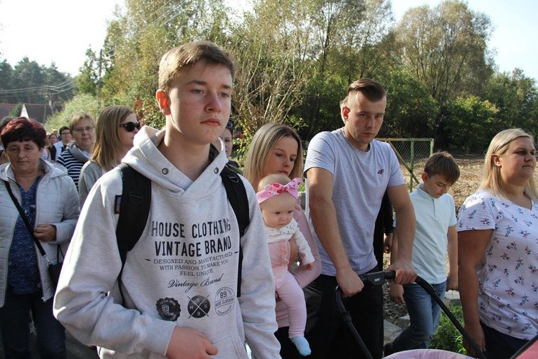 Z Brzegu Dolnego do Łososiowic