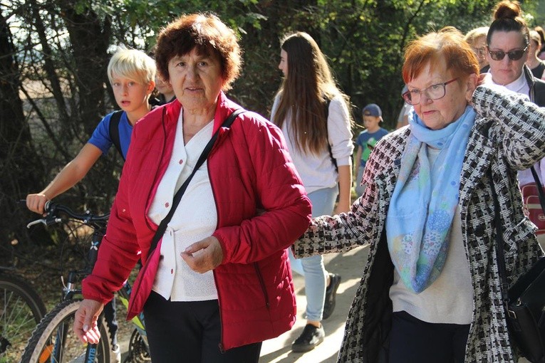 Z Brzegu Dolnego do Łososiowic