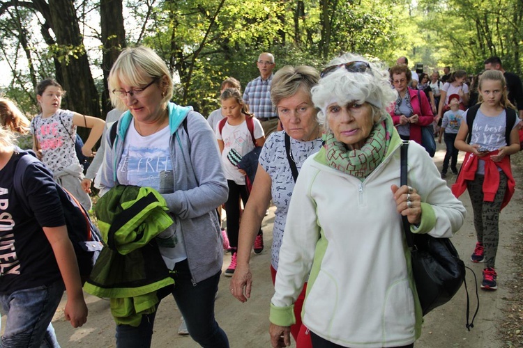 Z Brzegu Dolnego do Łososiowic