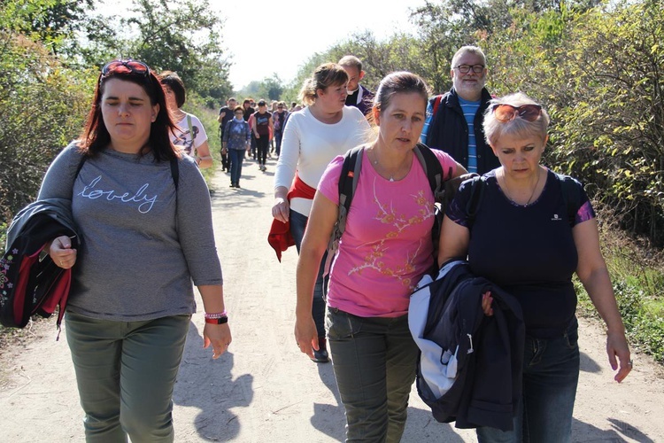 Z Brzegu Dolnego do Łososiowic