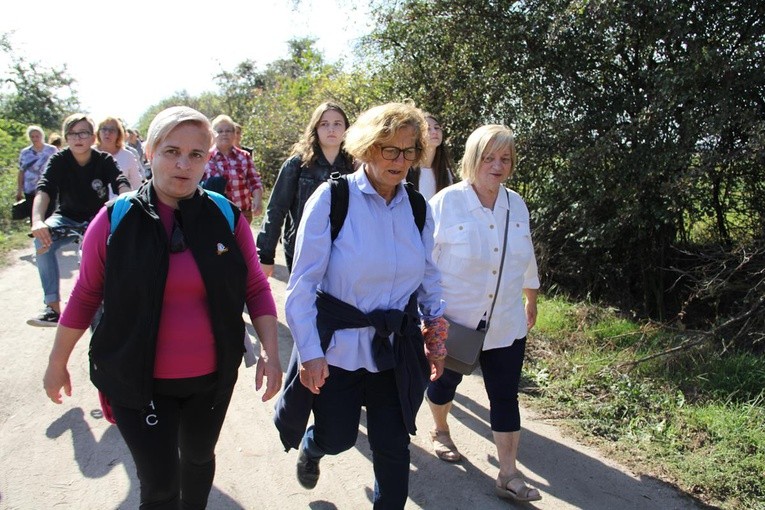 Z Brzegu Dolnego do Łososiowic