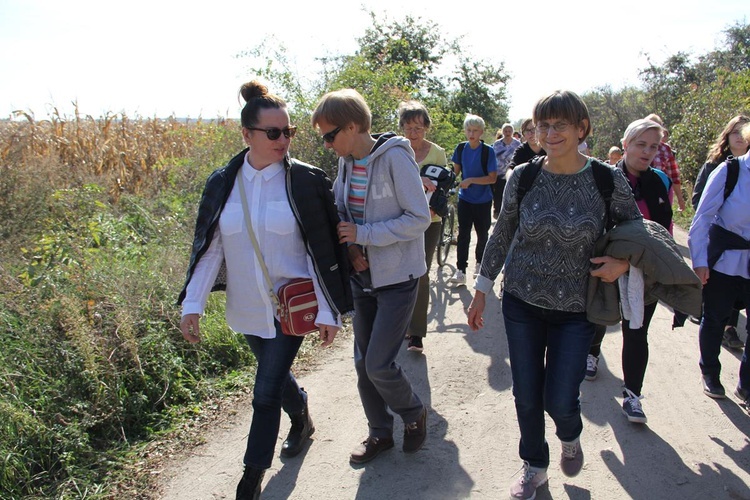 Z Brzegu Dolnego do Łososiowic