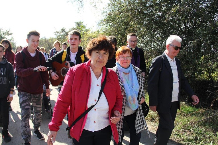 Z Brzegu Dolnego do Łososiowic
