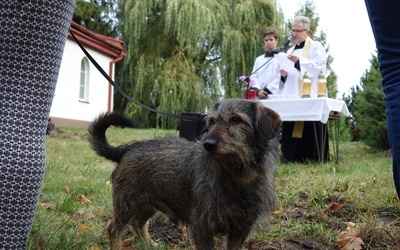 Co słychać przy parafii? 