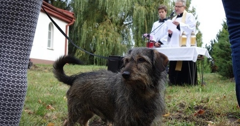 Co słychać przy parafii? 