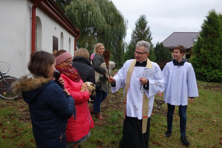 Błogosławieństwo zwierząt w Manowie