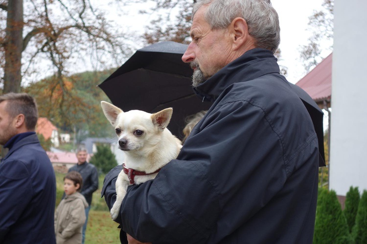 Błogosławieństwo zwierząt w Manowie