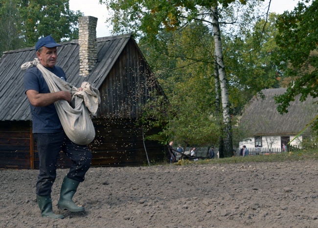 Festiwal Ziemniaka w radomskim skansenie