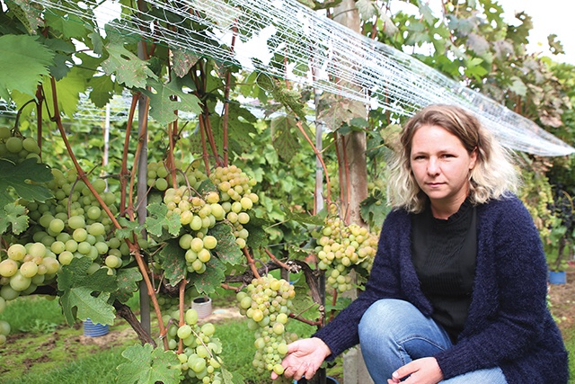 Magdalena Kapłan w winnicy Nobilis w Faliszowicach. 