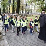 Sadzenie żonkili w Gliwicach