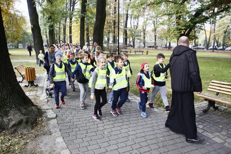 Sadzenie żonkili w Gliwicach