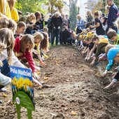 500 żonkili dla hospicjum