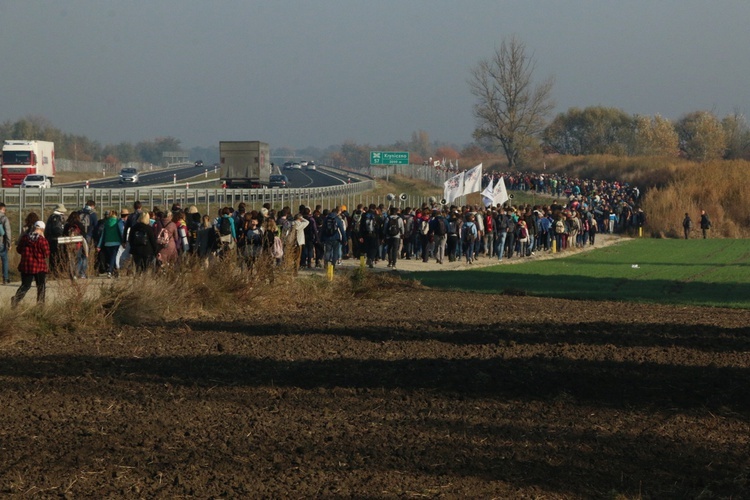 Pielgrzymka trzebnicka 2018 - cz. 3