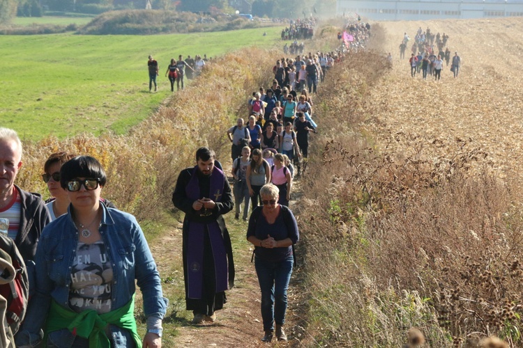 Pielgrzymka trzebnicka 2018 - cz. 5