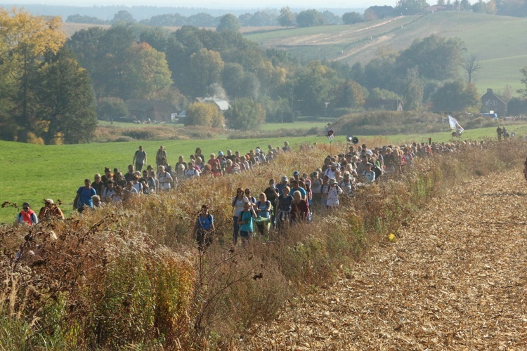 Pielgrzymka trzebnicka 2018 - cz. 5