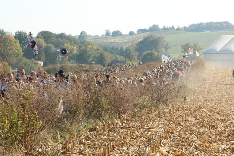 Pielgrzymka trzebnicka 2018 - cz. 5