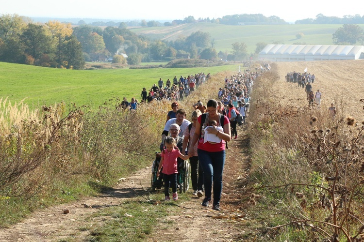 Pielgrzymka trzebnicka 2018 - cz. 5