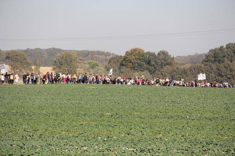 Pielgrzymka trzebnicka 2018 - cz. 8