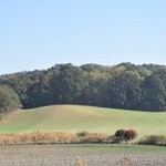 Pielgrzymka trzebnicka 2018 - cz. 12 - Oborniki Śląskie