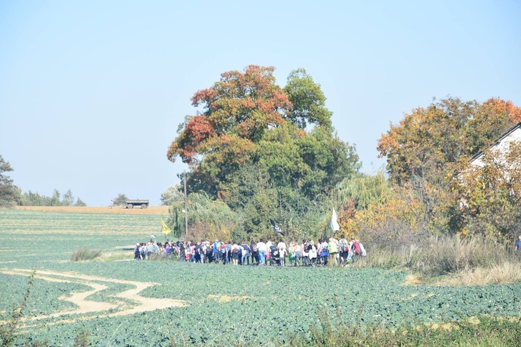 Pielgrzymka trzebnicka 2018 - cz. 12 - Oborniki Śląskie