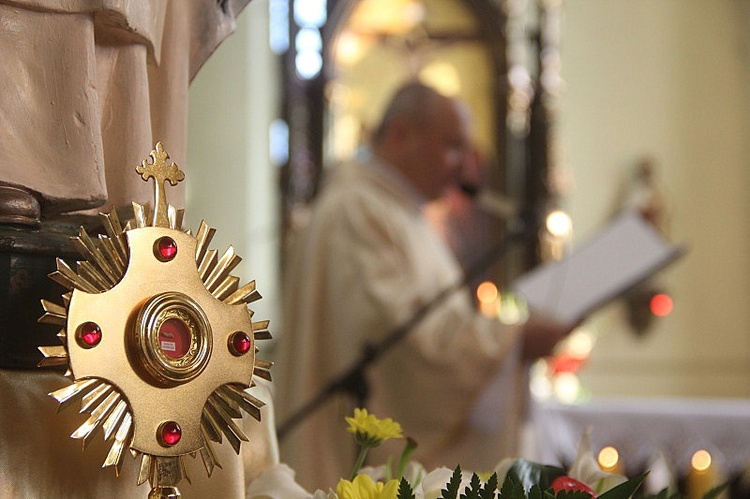 Św. Jadwiga Śląska patronką Wlenia