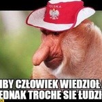 Memy po meczu Polska-Włochy