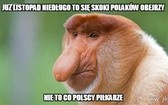 Memy po meczu Polska-Włochy