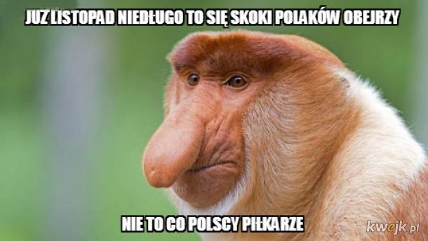 Memy po meczu Polska-Włochy