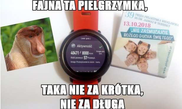 Rozwiązujemy jadwiżańskie konkursy