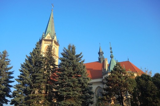 W parafii Trójcy Przenajświętszej w Wilamowicach