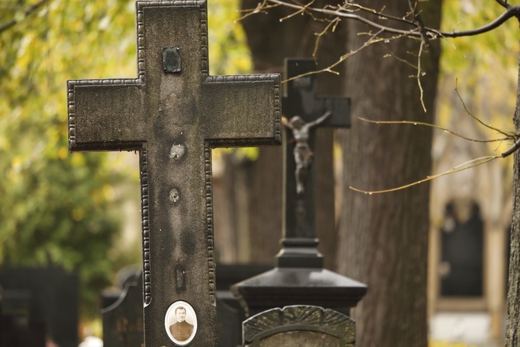 Cmentarz Mater Dolorosa