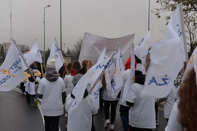 V Libiąski Orszak Świętych