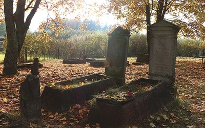 ▲	Cmentarz mennonicki to jeden z charakterystycznych elementów krajobrazu Żuław.  Na zdjęciu nekropolia w Barcicach. 