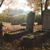 ▲	Cmentarz mennonicki to jeden z charakterystycznych elementów krajobrazu Żuław.  Na zdjęciu nekropolia w Barcicach. 