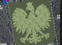 Las w kształcie godła Polski 