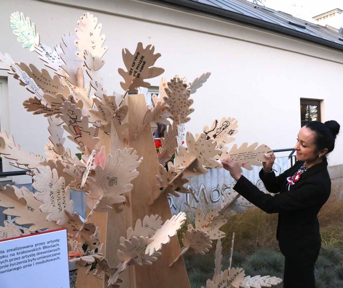 100 rocznica wyzwolenia Krakowa spod władzy zaborczej Cz. 2