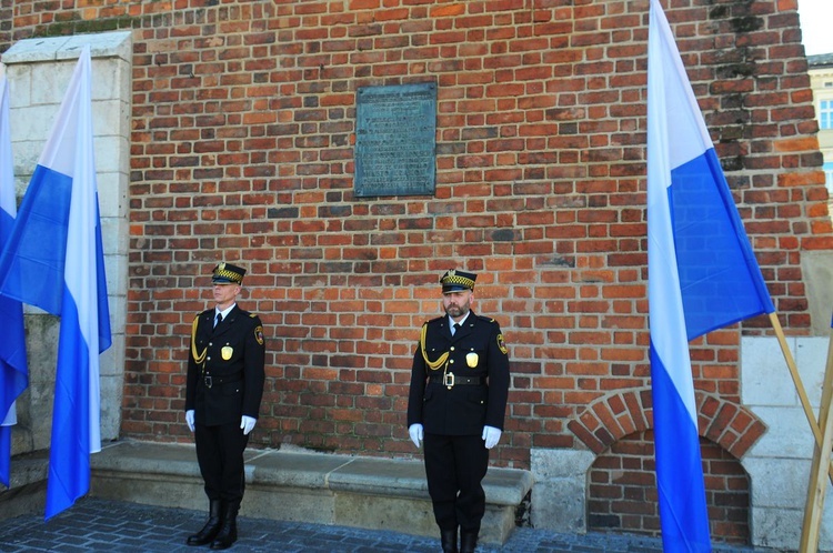 100 rocznica wyzwolenia Krakowa spod władzy zaborczej Cz. 3