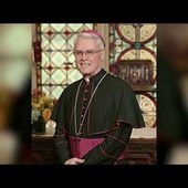 New York Auxiliary Bishop Under Review