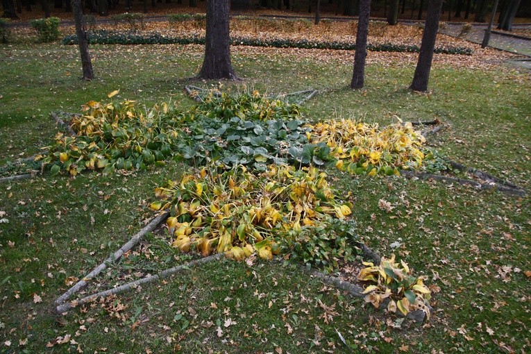 Cmentarz wojenny w Tarnowskich Górach