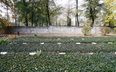 Cmentarz wojenny w Tarnowskich Górach