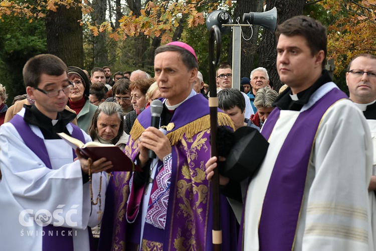 Wszystkich Świętych w Świdnicy