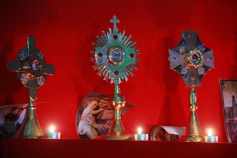 Holy Wins w Żukowie