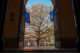 Uczcili pamięć poległych profesorów krakowskich uczelni