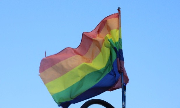 Raport o związku homoseksualizmu z nadużyciami seksualnymi