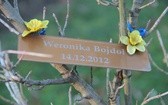 25 lat hospicjum w Tychach