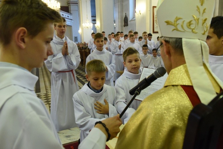 Lektorzy w Piwnicznej-Zdroju