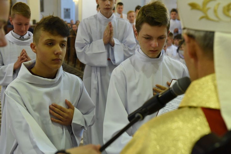 Lektorzy w Piwnicznej-Zdroju