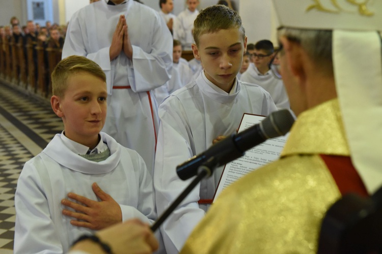 Lektorzy w Piwnicznej-Zdroju